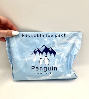 Беатерия охладител за храдилна чанта 550 мл.