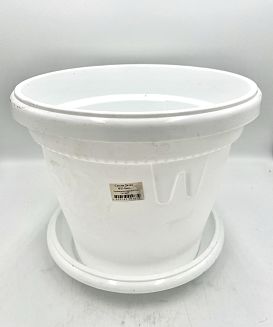 Саксия Далия Ф25