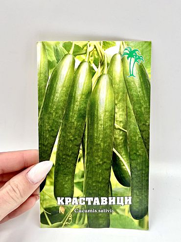 Семе Краставица Гергана