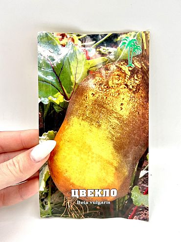 Семе Цвекло главесто