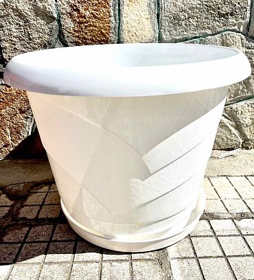 Саксия МН Ф 40