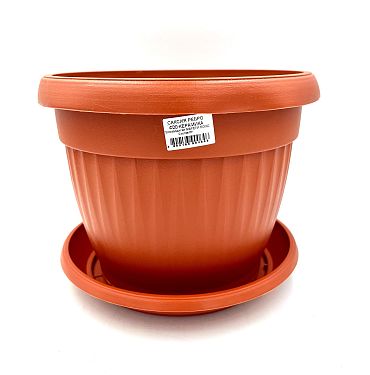 Саксия Ребра Ф20