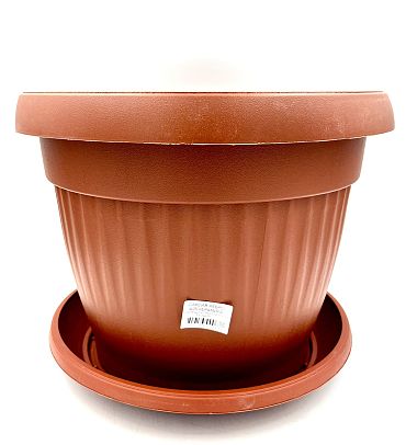 Саксия ребра Ф25