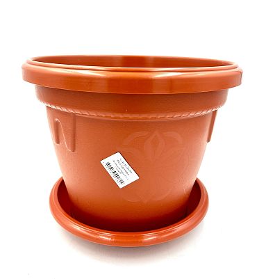 Саксия Далия Ф20