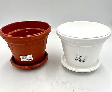 Саксия Далия Ф12