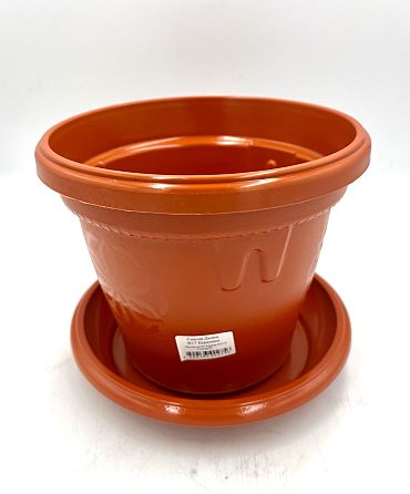 Саксия Далия Ф17