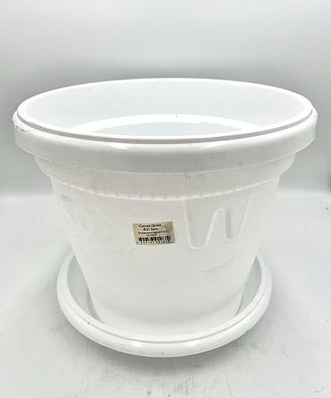 Саксия Далия Ф25