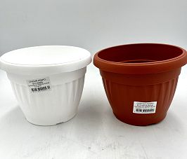 Саксия Ребра Ф12